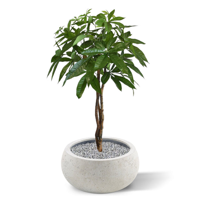 c70c4a18-35b7-4057-9d69-bd7925f99559-sfeerbeeld.jpg (1308798)