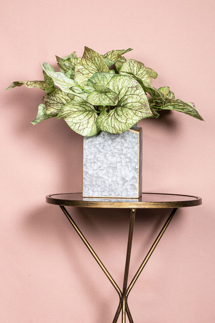 PTMD Ossetong Kunsttak - 22 x 26 x 42 cm - Bruin