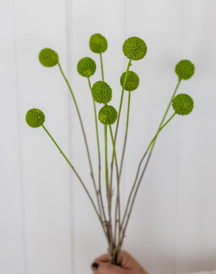 3fcada36-0ecc-4247-b119-57a899be52f8-afbeelding4.jpg (1327655)