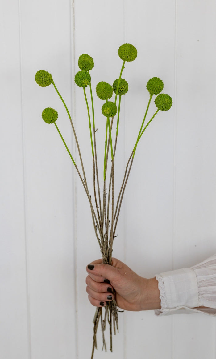 3fcada36-0ecc-4247-b119-57a899be52f8-afbeelding5.jpg (1327656)