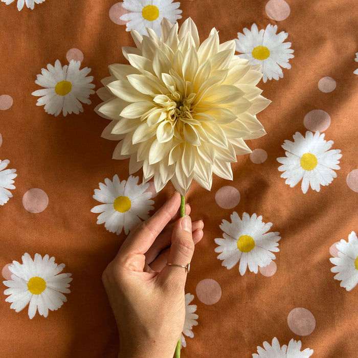 Covers & Co Oopsie Daisy Dekbedovertrek 140 x 220 cm