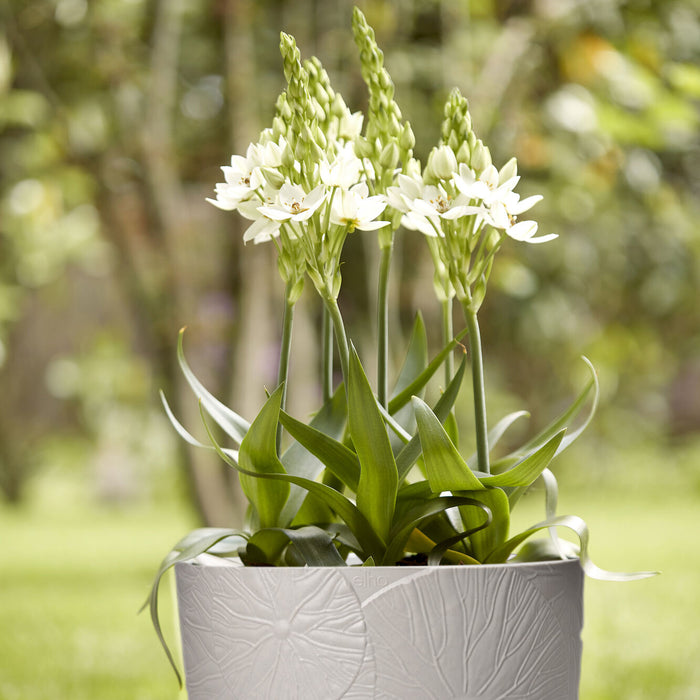 Elho Fuente Lily Bloempot 38 cm - Grijs