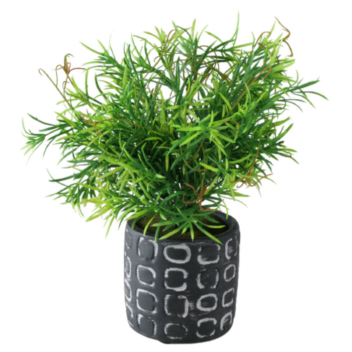 309e0ac1-d75e-42e9-8ac8-d253e73ea145-afbeelding6.jpg (1335196)