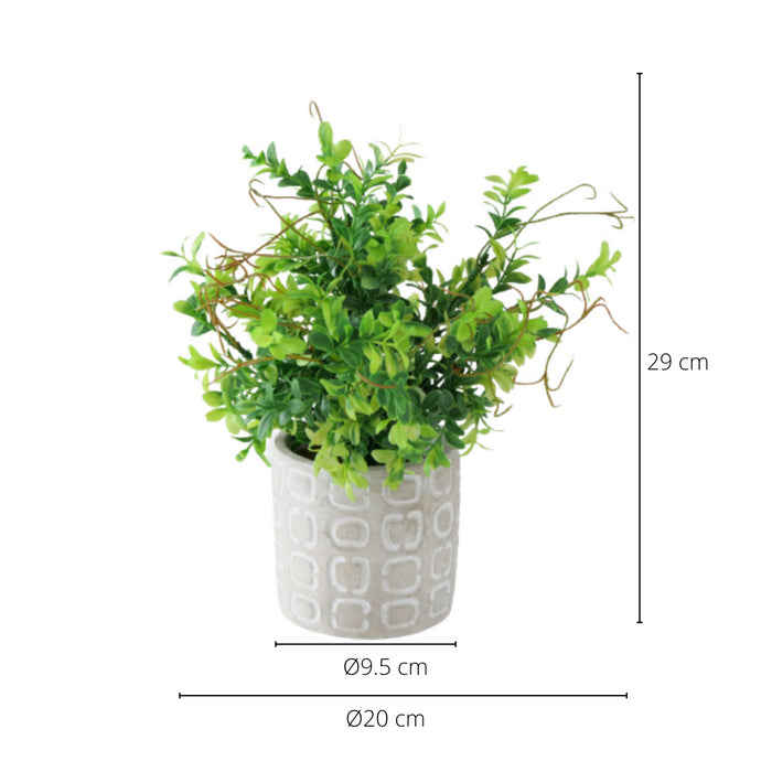 309e0ac1-d75e-42e9-8ac8-d253e73ea145-afbeelding9.jpg (1335199)