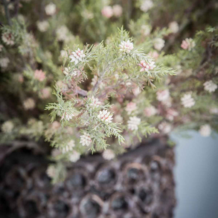 PTMD Garden Bloem Mini Juniperus Kunsttak - 37 x 17 x 64 cm - Groen