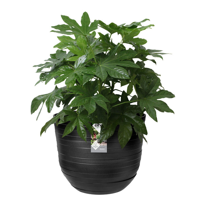 Elho Fuente Rings Bloempot 47 cm - Zwart