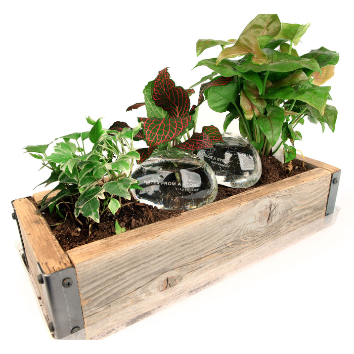 121119-x0.jpg (1376294)