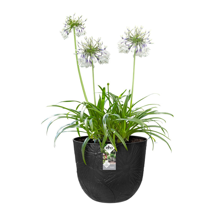 Elho Fuente Lily Bloempot 47 cm - Zwart