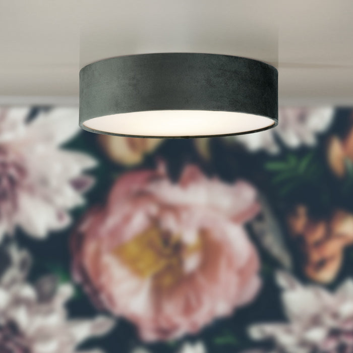 307112-x1.jpg (1381629)