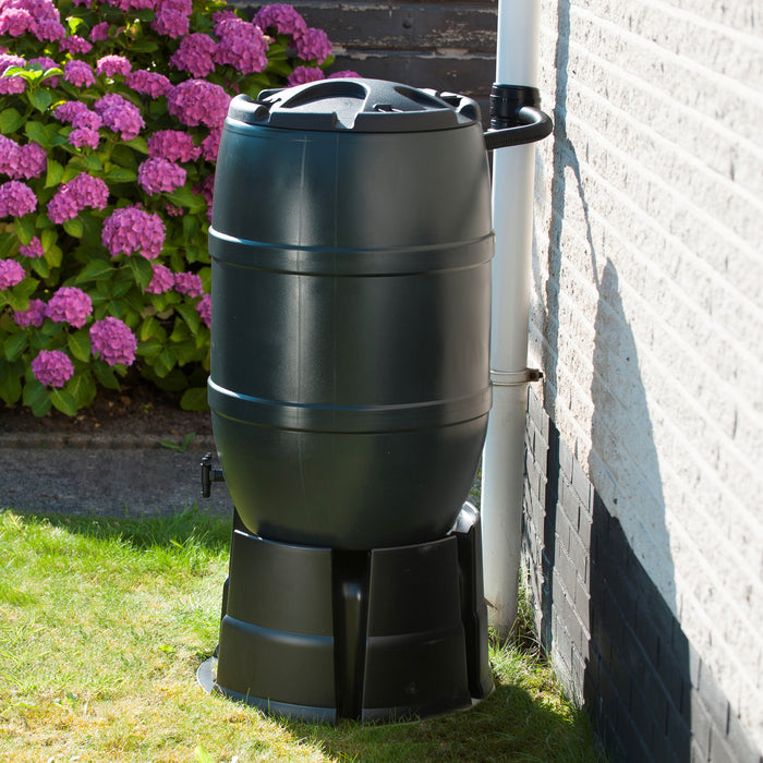 Nature Standaard voor Regenton