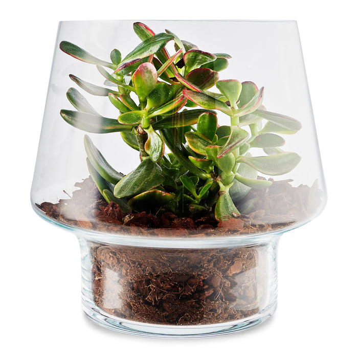 Eva Solo Succulent Vaas