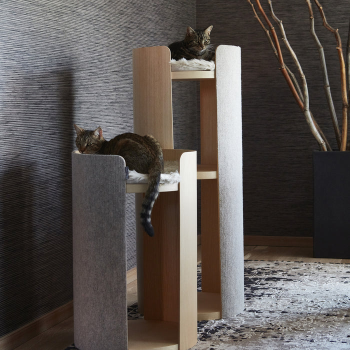 200126-x1.jpg (1398174)