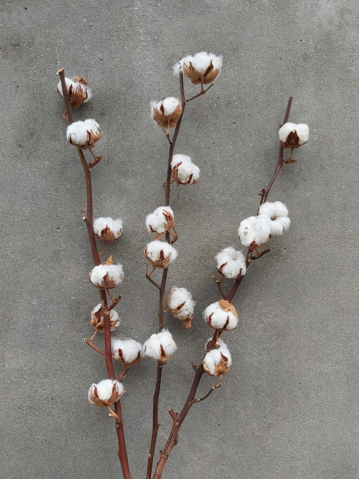 16a2de06-fbeb-471d-960b-7dff22ee5ee6-afbeelding5.jpg (1406862)