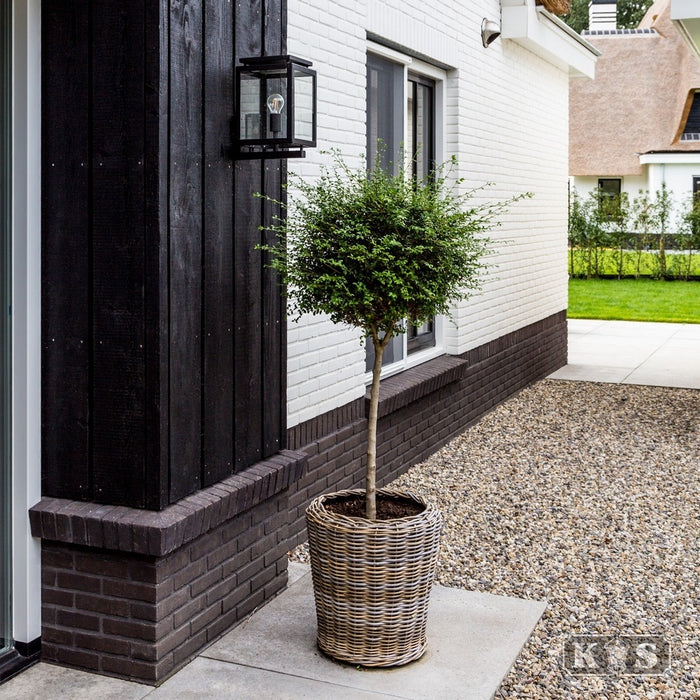 KS Verlichting De Vecht Wandlamp