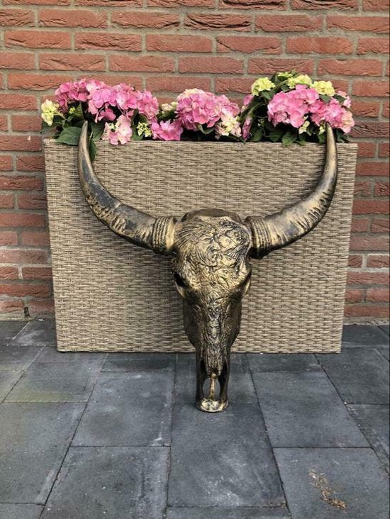Skull Decoratie Skull Buffel Schedel - Buffelschedel - Brons - Goud