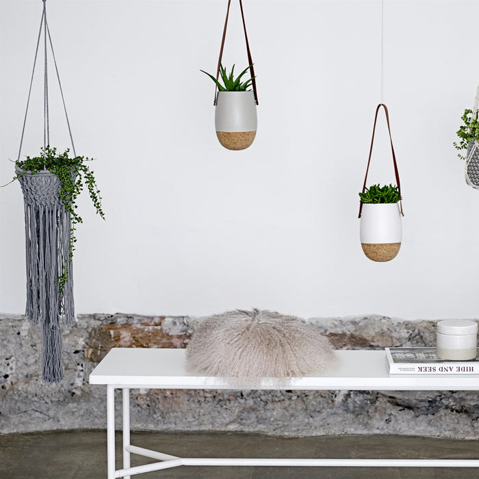 173138-x1.jpg (1427953)