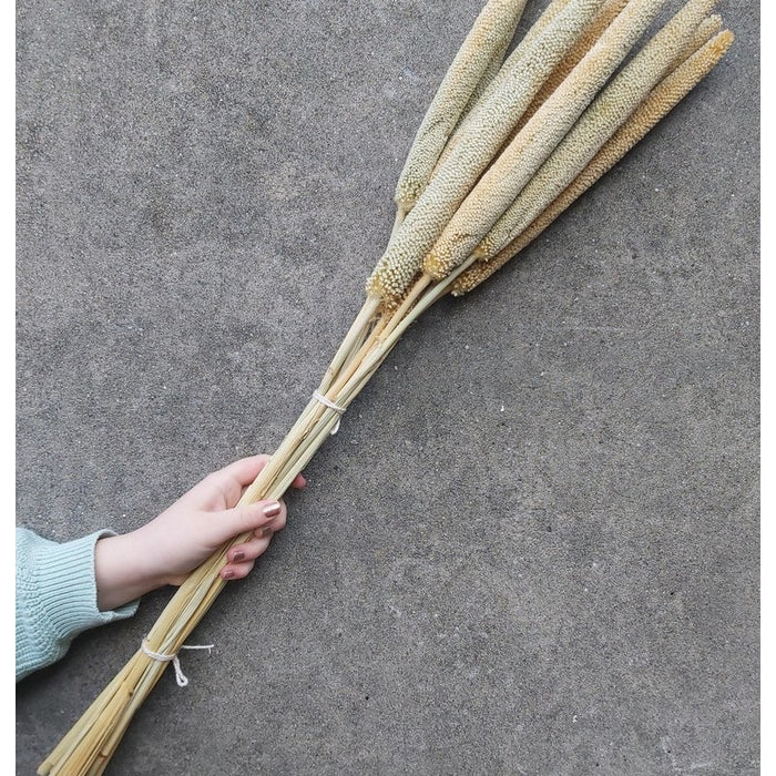 95c6330a-48d8-4cfa-bba6-4ad27eba5b4e-afbeelding3.jpg (1428713)