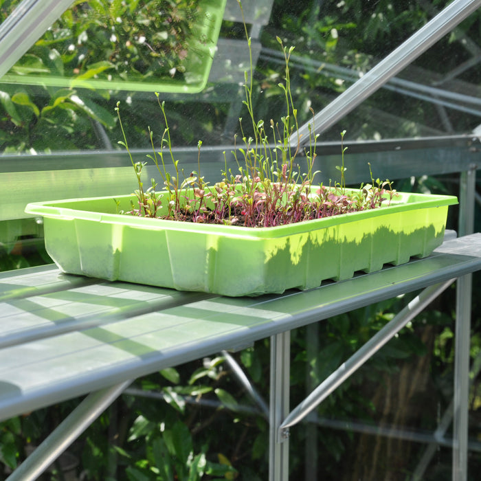 Royal Well Alu Sower Kweekschap 200 x 32,5 cm