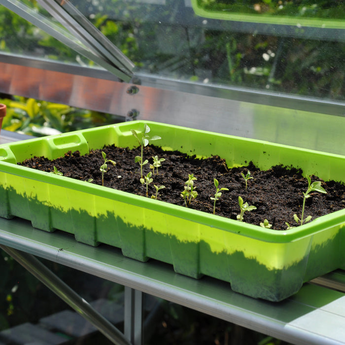 Royal Well Alu Sower Kweekschap 200 x 32,5 cm