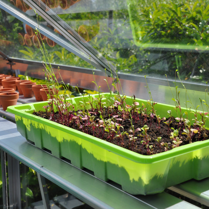 Royal Well Alu Sower Kweekschap 200 x 32,5 cm