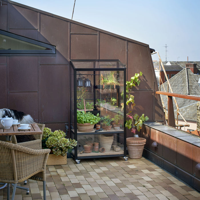 Royal Well City Garden Patiokas