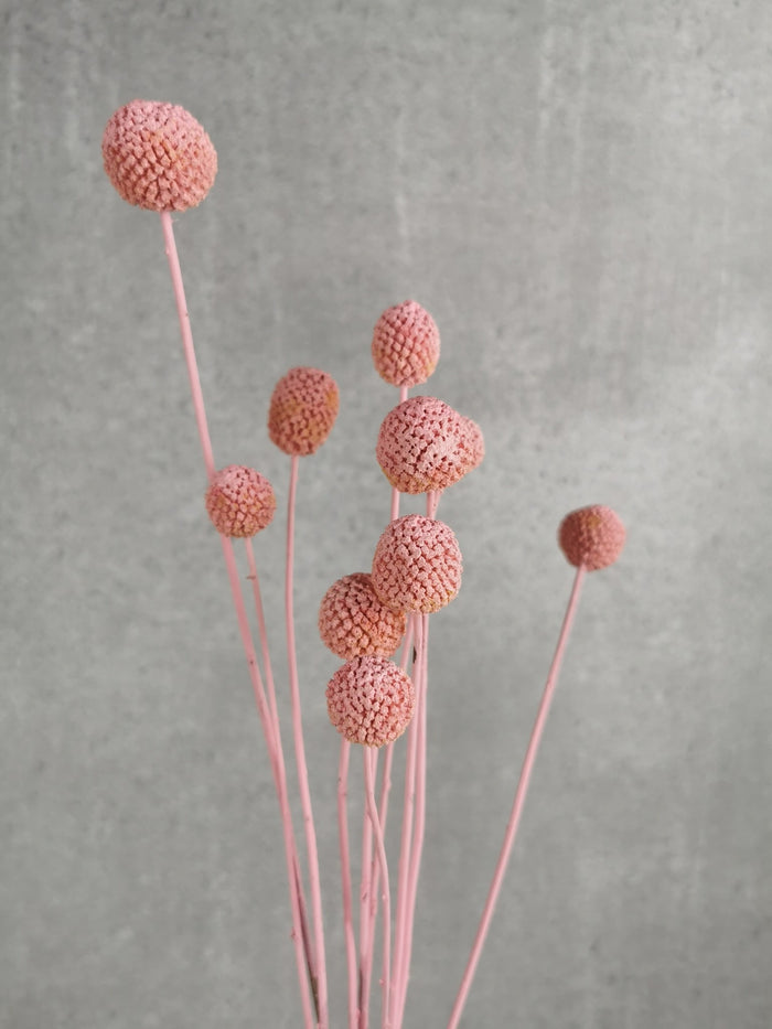 884be34b-636c-4dfa-9c0d-172352c83d13-afbeelding3.jpg (1448058)