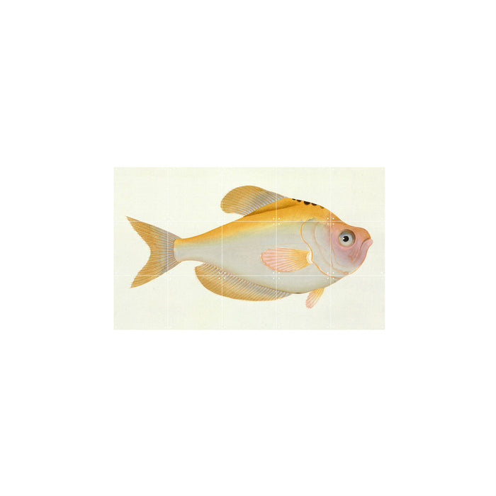 IXXI Yellow Fish Wandsysteem 60 x 100 cm