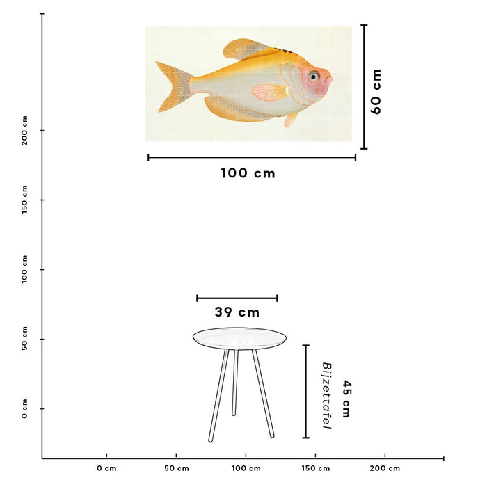 216151-x20.jpg (1450921)