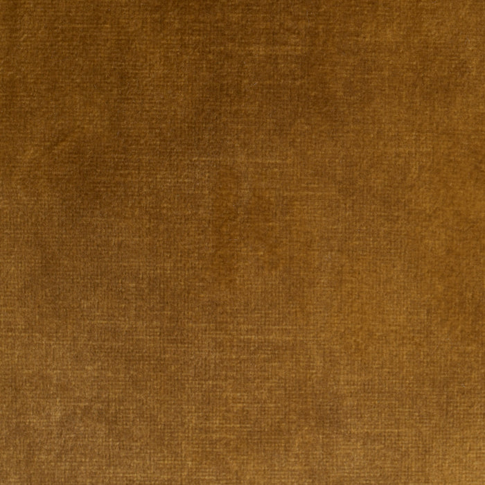 296157-x10.jpg (1461869)