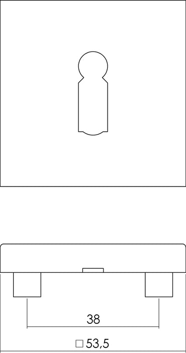 Intersteel Rozet vierkant met sleutelgat rvs geborsteld