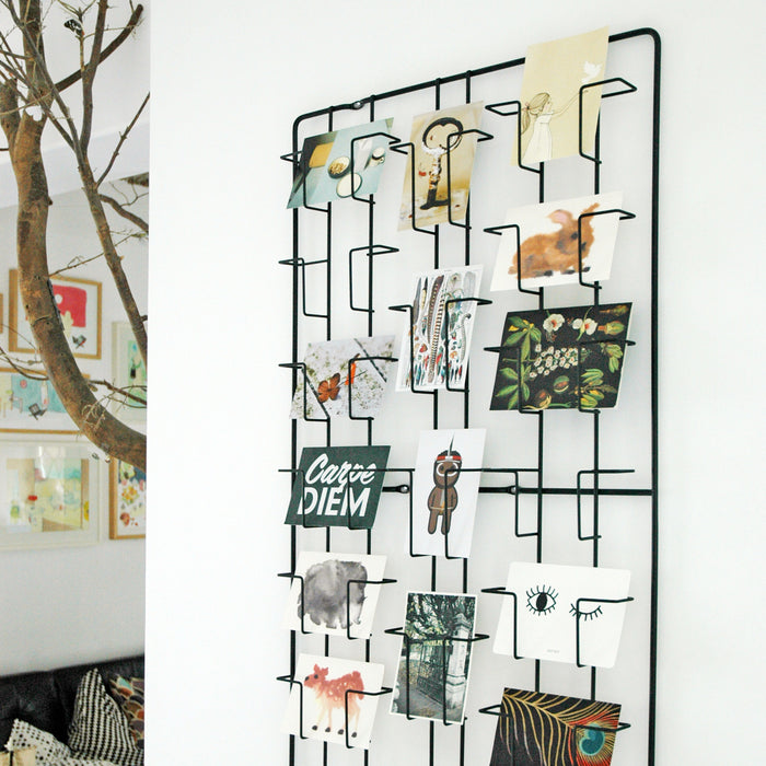 227169-x3.jpg (1483571)