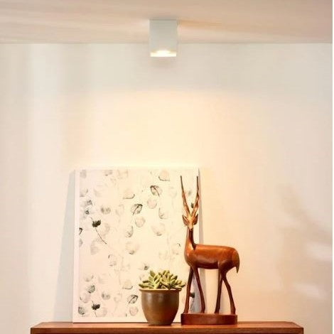 258174-x1.jpg (1493317)