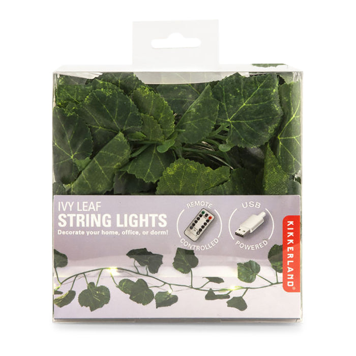 271174-x4.jpg (1493333)