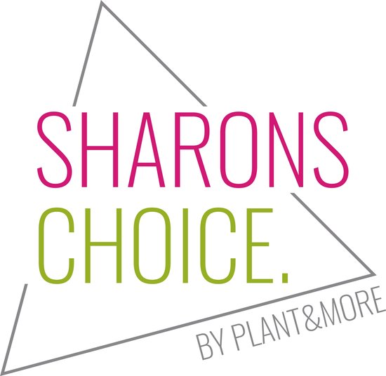 215207a3-d6bc-4279-a62e-7313bfe0b34b-afbeelding3.jpg (1505690)