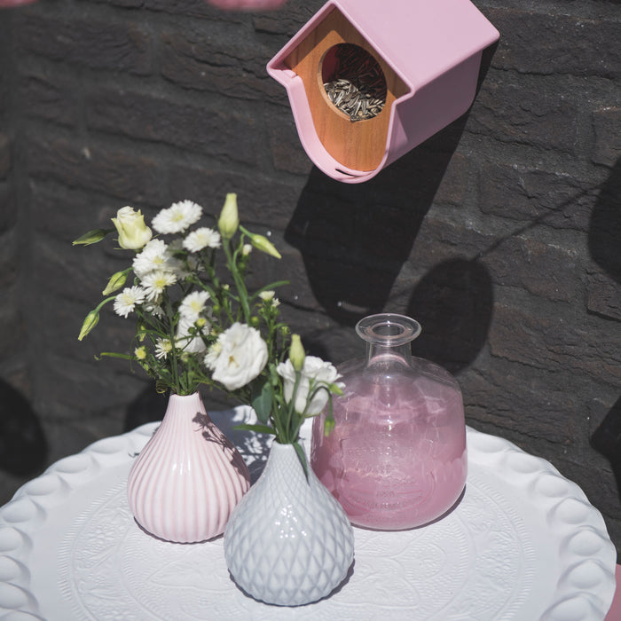 SingingFriend Evie Pindakaashuisje