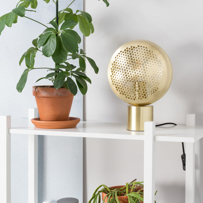 212189-x7.jpg (1521308)