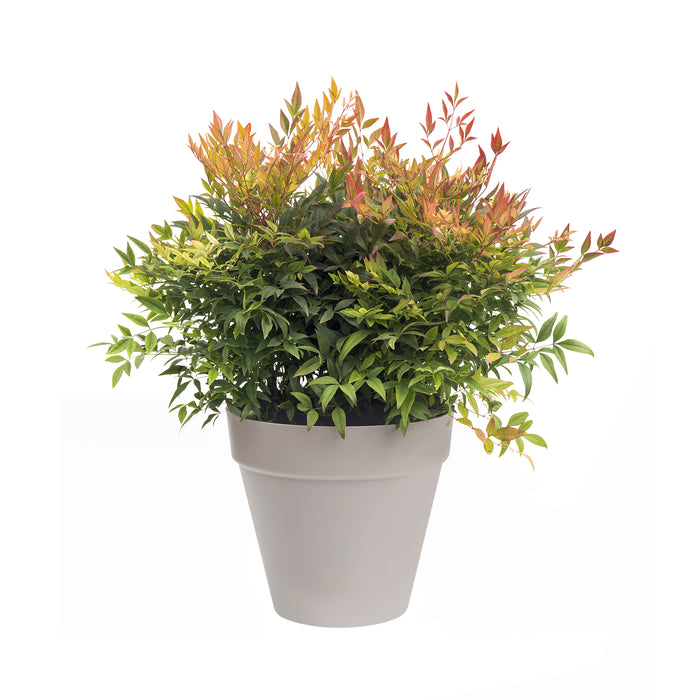 elho Loft Urban Round Bloempot 60 cm met Wielen