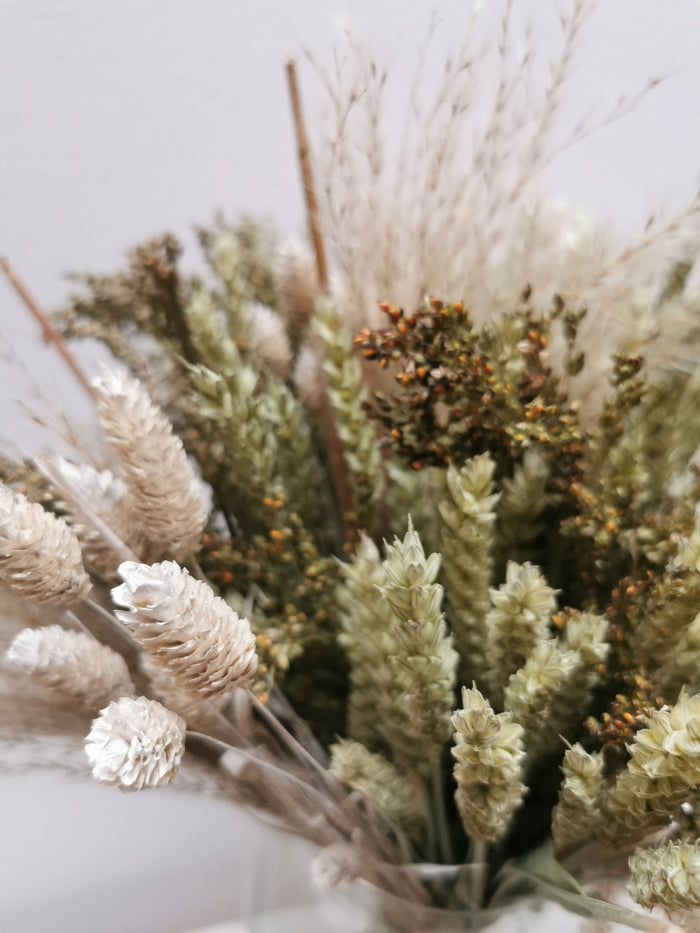 b784ffed-d869-45ec-a5e6-fa76a357b26e-afbeelding7.jpg (1533017)