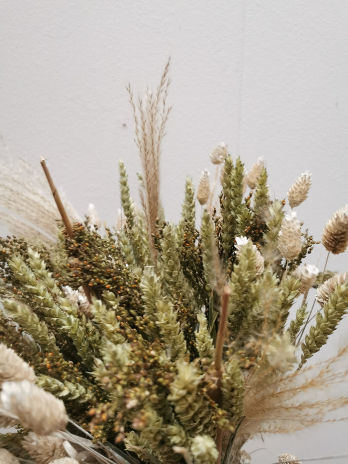 b784ffed-d869-45ec-a5e6-fa76a357b26e-afbeelding9.jpg (1533019)