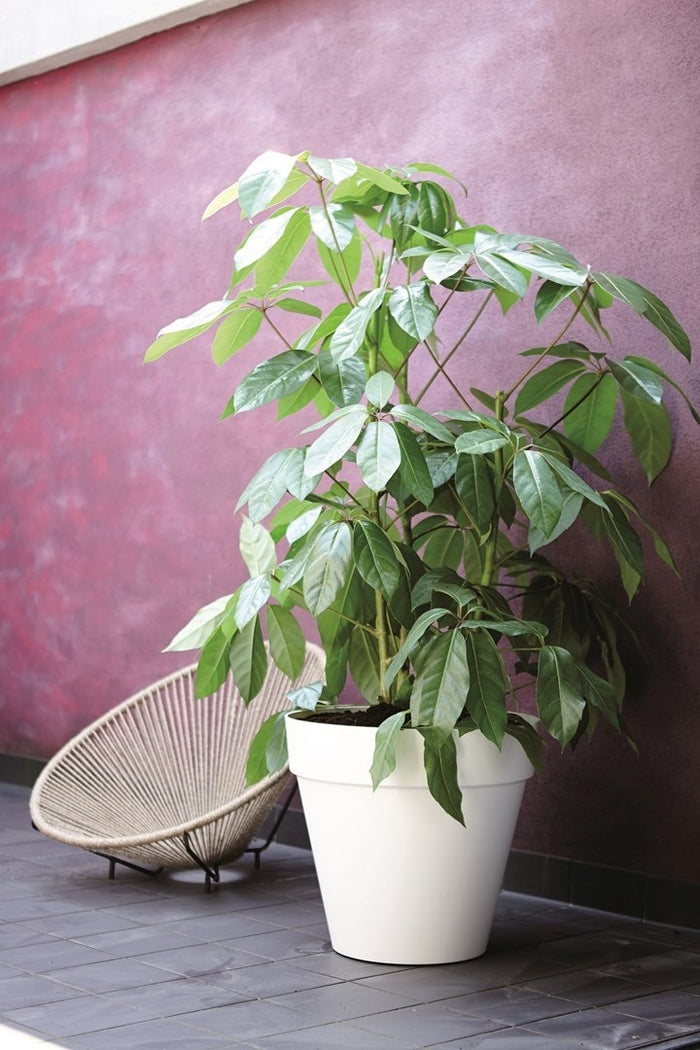 elho Loft Urban Round Bloempot 70 cm