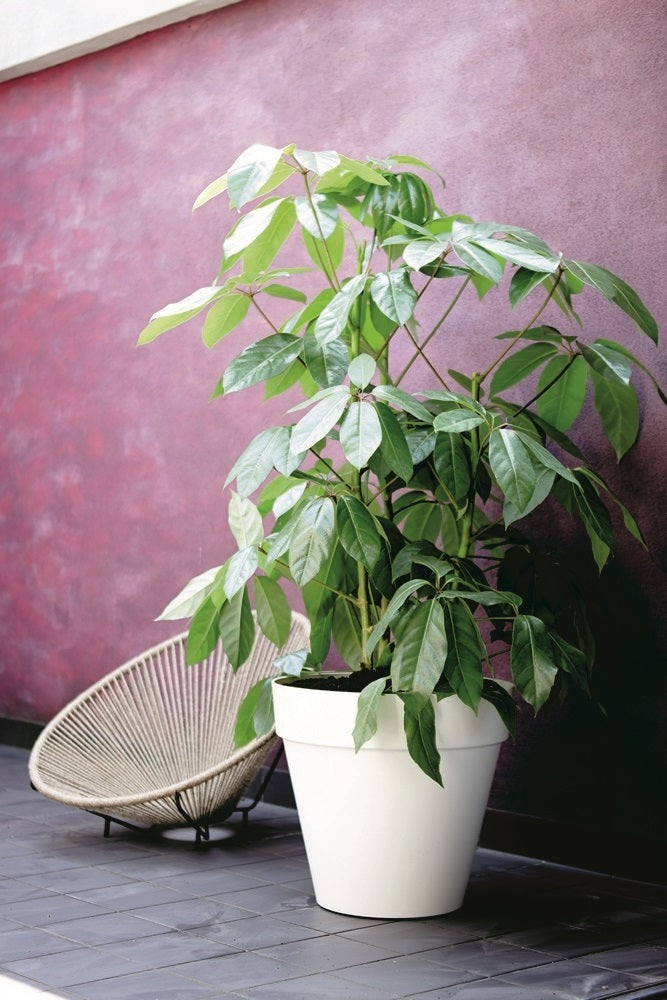 elho Loft Urban Round Bloempot 70 cm - 100% gerecycled kunststof