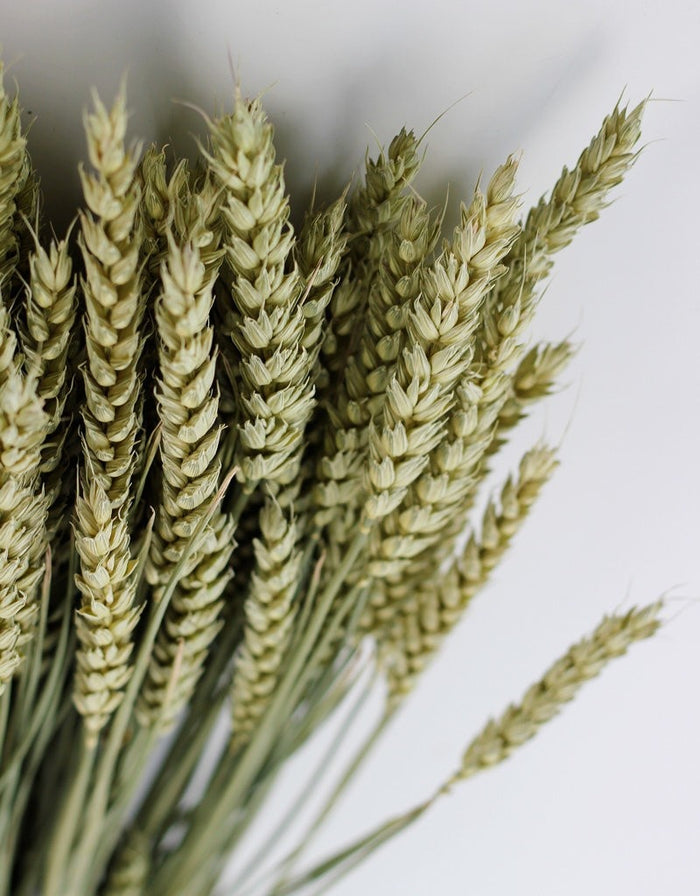 84deb84e-f622-4dcb-8b18-45a62ef0790d-afbeelding7.jpg (1541466)