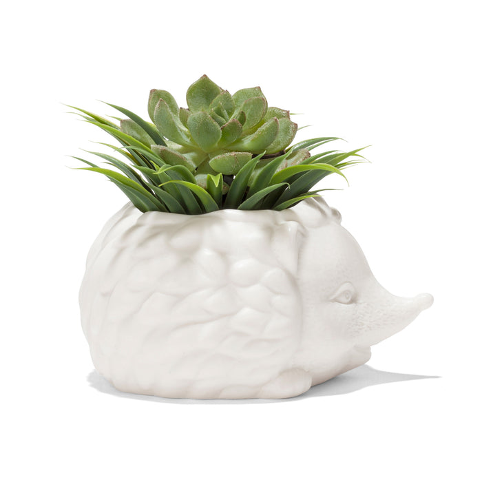 249203-x1.jpg (1549093)