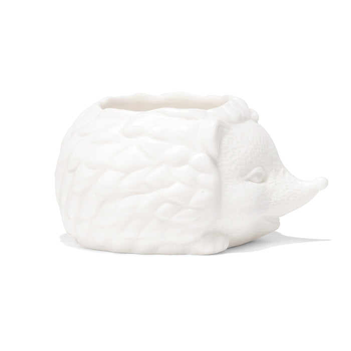 249203-x3.jpg (1549095)