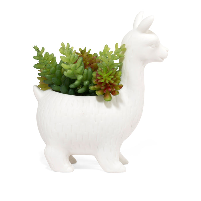 249204-x1.jpg (1551311)