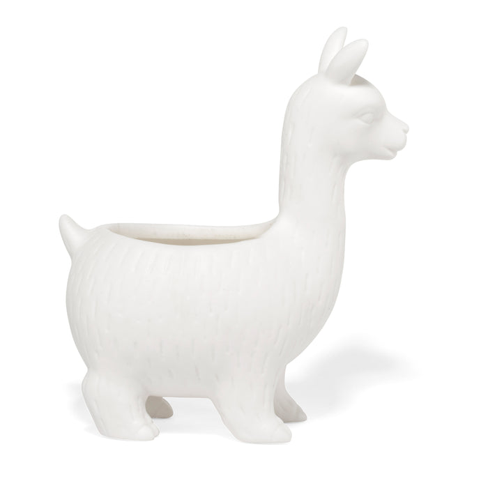 249204-x3.jpg (1551313)