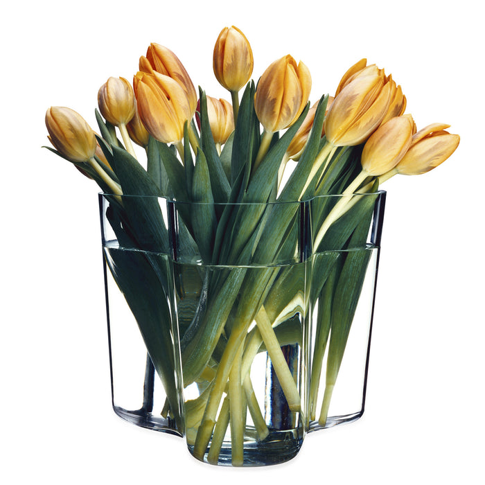 89604-x1.jpg (1564098)