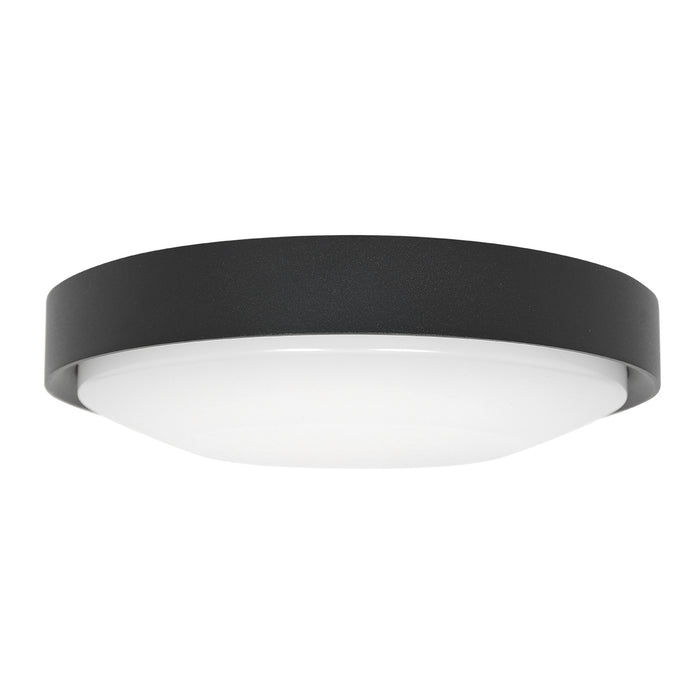 Steinhauer Fuga Wandlamp Zwart