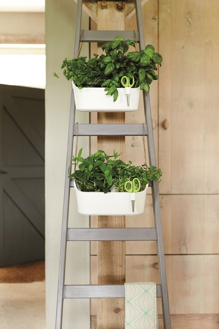 Elho Brussels Herbs Station Kruidenpot