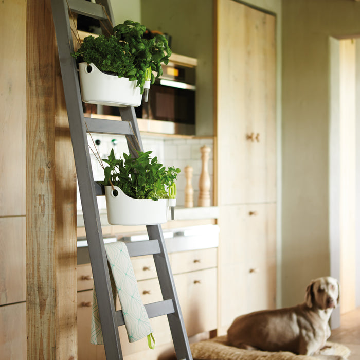 Elho Brussels Herbs Station Kruidenpot